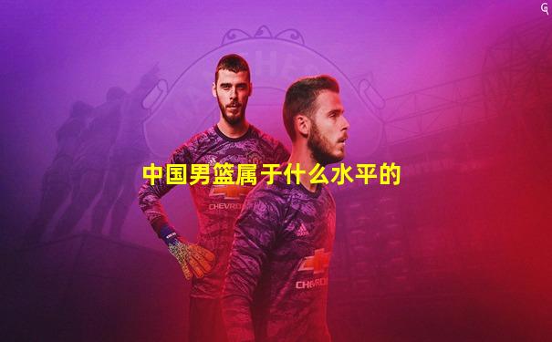 中国男篮属于什么水平的