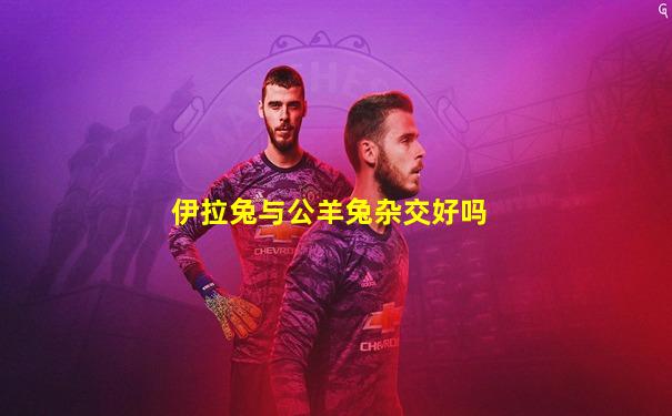 伊拉兔与公羊兔杂交好吗