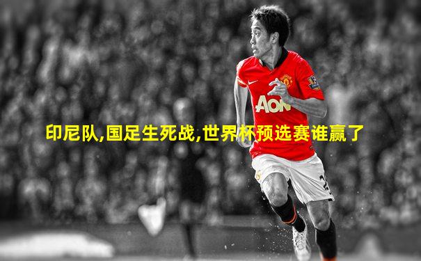 印尼队,国足生死战,世界杯预选赛谁赢了