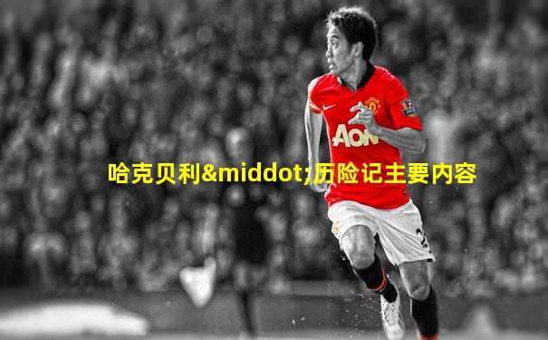 哈克贝利·历险记主要内容