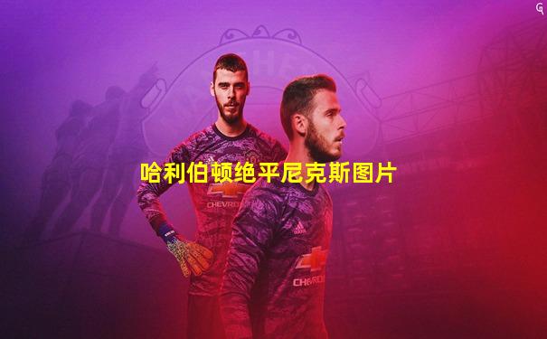 哈利伯顿绝平尼克斯图片