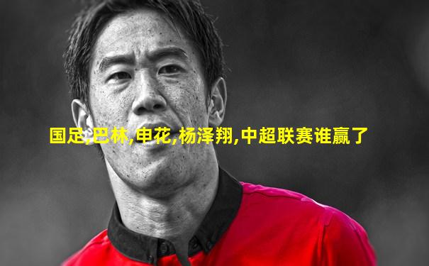 国足,巴林,申花,杨泽翔,中超联赛谁赢了