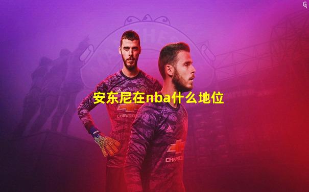 安东尼在nba什么地位