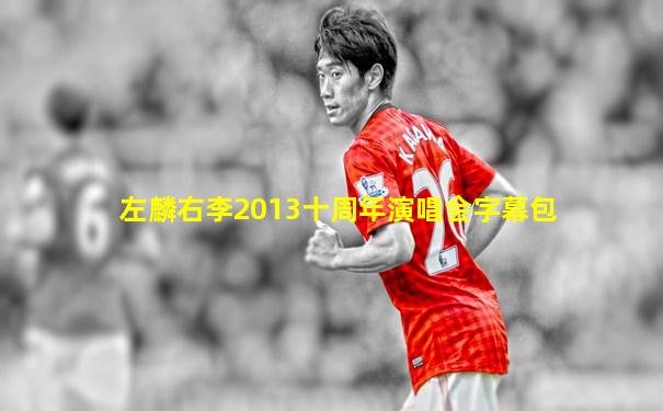 左麟右李2013十周年演唱会字幕包