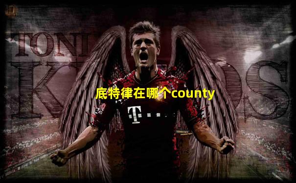 底特律在哪个county