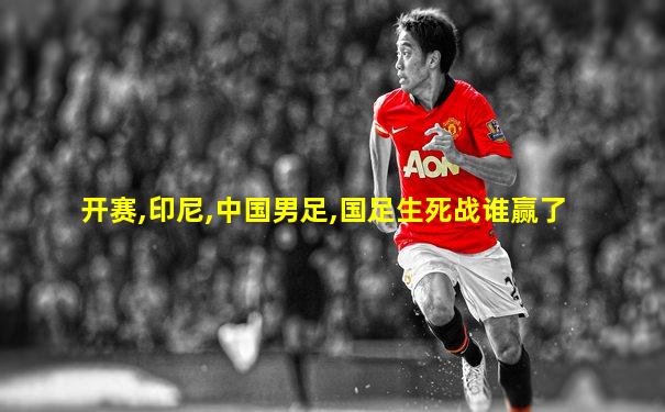 开赛,印尼,中国男足,国足生死战谁赢了