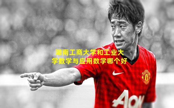 湖南工商大学和工业大学数学与应用数学哪个好