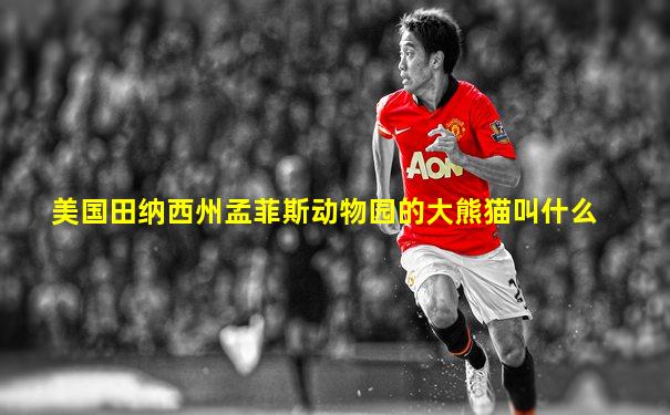 美国田纳西州孟菲斯动物园的大熊猫叫什么