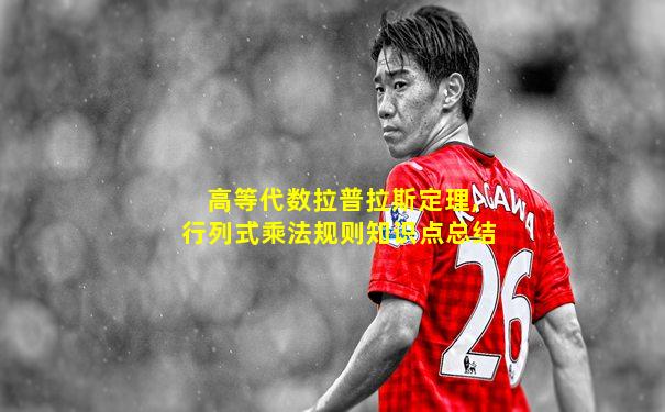 高等代数拉普拉斯定理,行列式乘法规则知识点总结