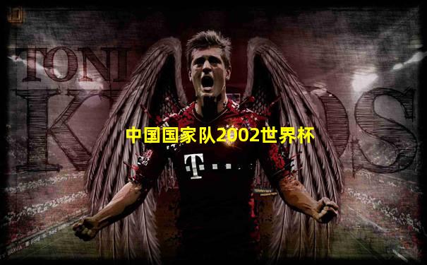中国国家队2002世界杯