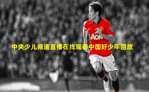 中央少儿频道直播在线观看中国好少年回放
