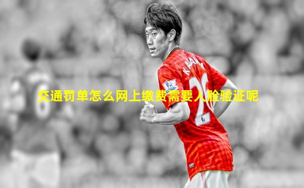 交通罚单怎么网上缴费需要人脸验证呢