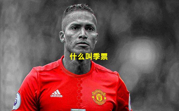 什么叫季票