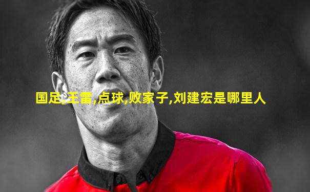 国足,王雷,点球,败家子,刘建宏是哪里人