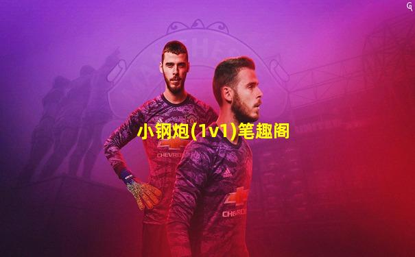 小钢炮(1v1)笔趣阁
