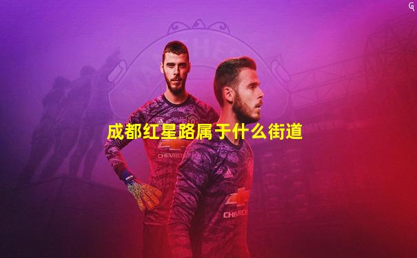 成都红星路属于什么街道