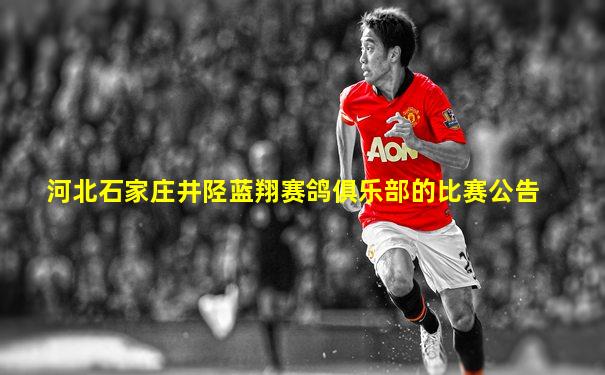 河北石家庄井陉蓝翔赛鸽俱乐部的比赛公告
