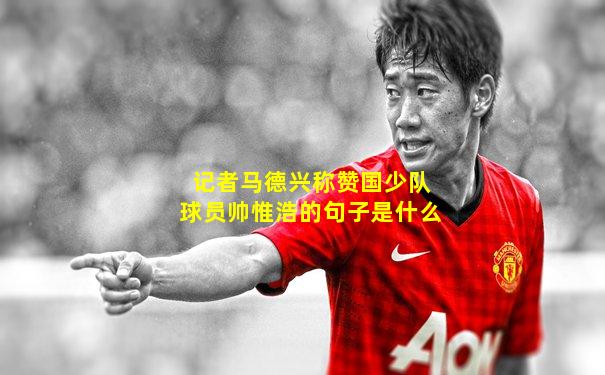 记者马德兴称赞国少队球员帅惟浩的句子是什么