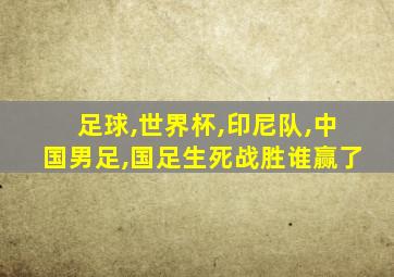 足球,世界杯,印尼队,中国男足,国足生死战胜谁赢了