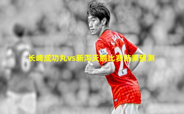 长崎成功丸vs新泻天鹅比赛结果预测