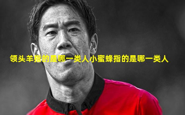 领头羊指的是哪一类人小蜜蜂指的是哪一类人
