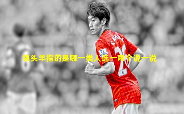 领头羊指的是哪一类人选一两个说一说